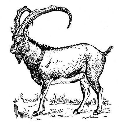 Большая Советская Энциклопедия (БЕ) i009-001-213191048.jpg