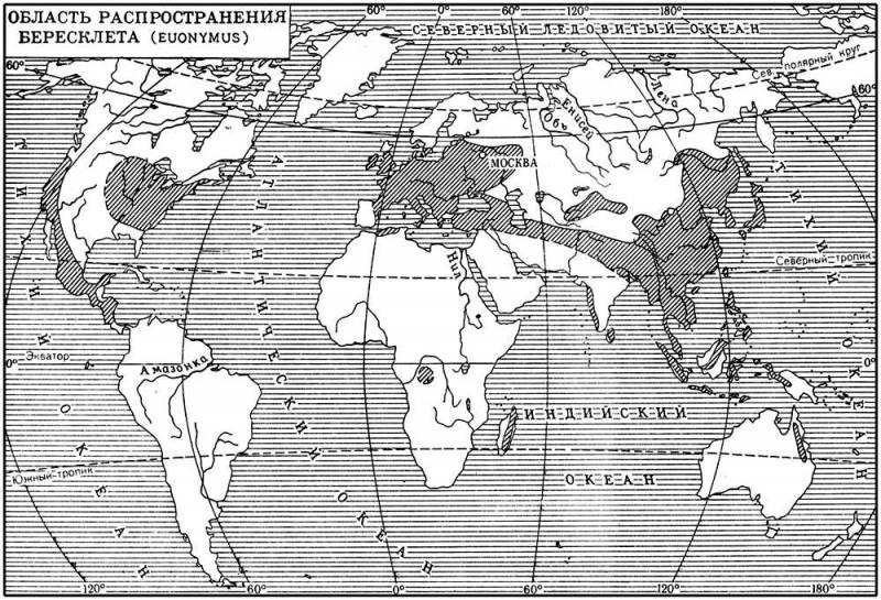 Большая Советская Энциклопедия (БЕ) i009-001-224841330.jpg