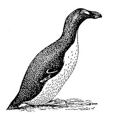 Большая Советская Энциклопедия (БЕ) i010-001-284827873.jpg