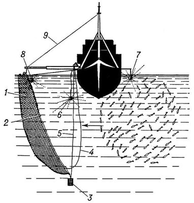 Большая Советская Энциклопедия (БЕ) i010-001-283056829.jpg