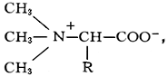 Большая Советская Энциклопедия (БЕ) i-images-133313470.png