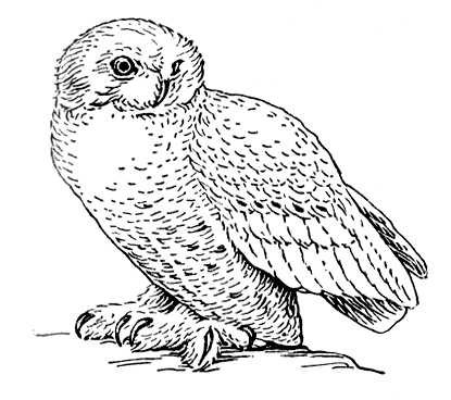 Большая Советская Энциклопедия (БЕ) i009-001-235905959.jpg