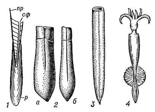 Большая Советская Энциклопедия (БЕ) i010-001-264293084.jpg