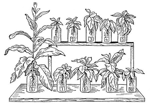 Большая Советская Энциклопедия (ВЕ) i009-001-230561136.jpg