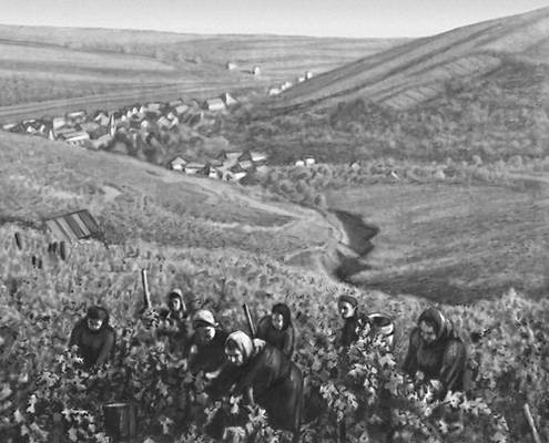 Большая Советская Энциклопедия (ВЕ) i010-001-246695416.jpg