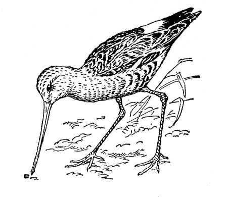 Большая Советская Энциклопедия (ВЕ) i010-001-250944141.jpg