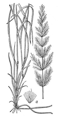 Большая Советская Энциклопедия (ВЕ) i009-001-230436084.jpg