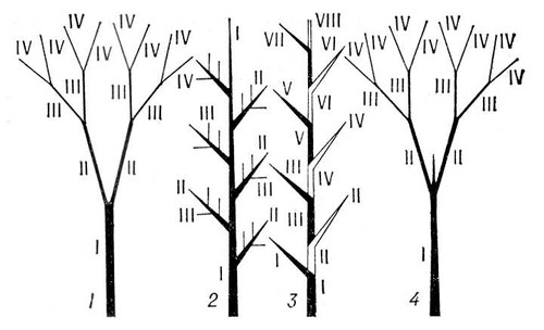 Большая Советская Энциклопедия (ВЕ) i010-001-286661549.jpg
