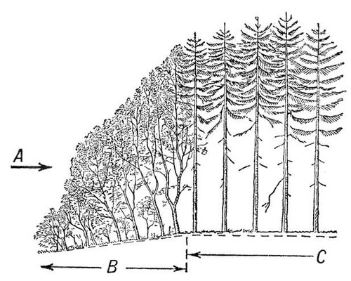 Большая Советская Энциклопедия (ВЕ) i009-001-234326910.jpg