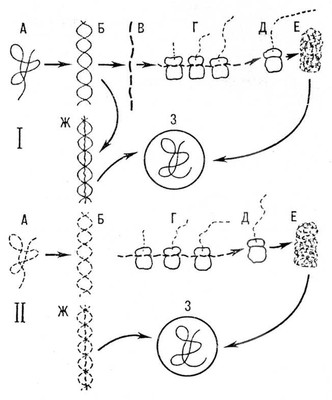 Большая Советская Энциклопедия (ВИ) i009-001-219076820.jpg