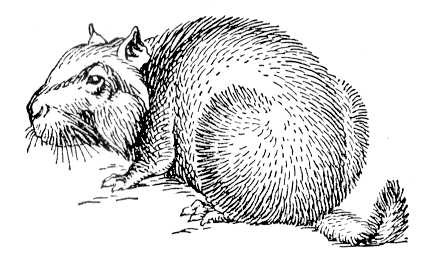 Большая Советская Энциклопедия (ВИ) i009-001-236700886.jpg