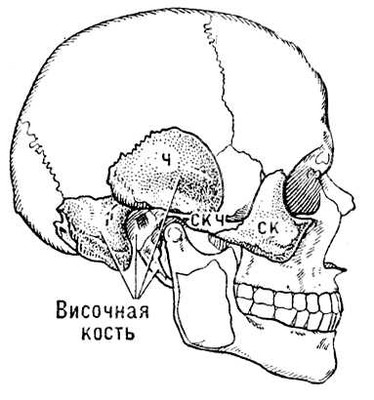 Большая Советская Энциклопедия (ВИ) i010-001-256951196.jpg