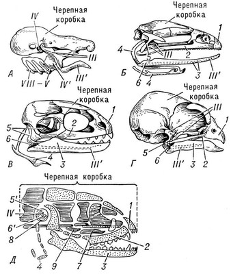 Большая Советская Энциклопедия (ВИ) i009-001-218171025.jpg