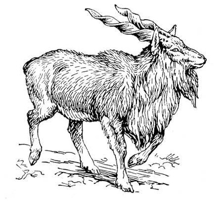 Большая Советская Энциклопедия (ВИ) i009-001-209522280.jpg