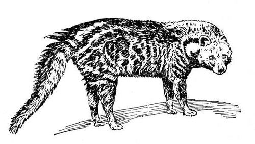 Большая Советская Энциклопедия (ВИ) i010-001-273305375.jpg