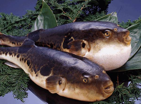 Нежданные встречи и курьезы на море и на суше i_036.jpg