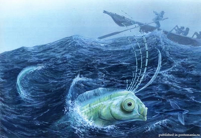 Нежданные встречи и курьезы на море и на суше i_019.jpg