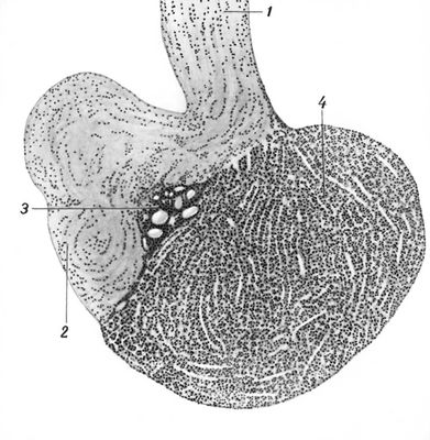Большая Советская Энциклопедия (ГИ) i010-001-261451678.jpg
