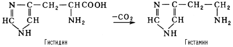 Большая Советская Энциклопедия (ГИ) i-images-151517837.png