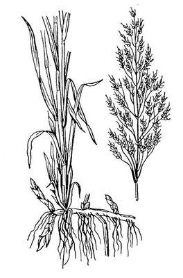 Большая Советская Энциклопедия (ГУ) i009-001-243333026.jpg