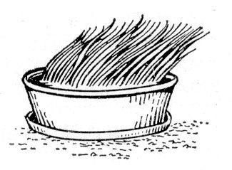 Большая Советская Энциклопедия (ДВ) i009-001-226329493.jpg
