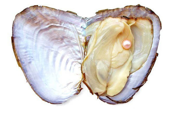 Слезы морской нимфы _0.jpg