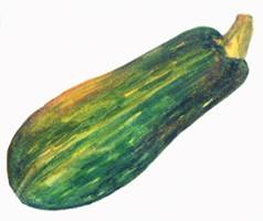 Дыни, тыквы, кабачки, патиссоны i_033.jpg