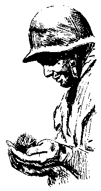 Рави, Шаши, Снежок и другие pic_20.png