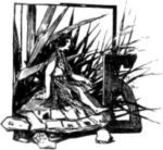 В глубь веков. Таинственные приключения европейцев сто тысяч лет тому назад. В дали времен. Том 3 i_009.jpg