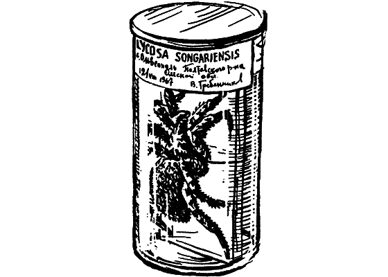 Десять маленьких непрошеных гостей. …И еще десятью десять i_060.png