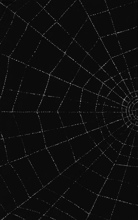 Десять маленьких непрошеных гостей. …И еще десятью десять i_120.jpg