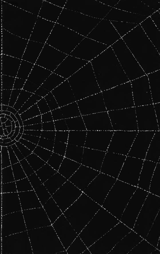 Десять маленьких непрошеных гостей. …И еще десятью десять i_121.jpg