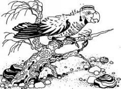 Говорящий сверток (с илл.) pic4.jpg