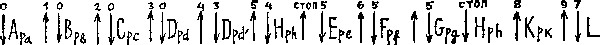 Третий глаз Шивы (с илл.) i_005.jpg