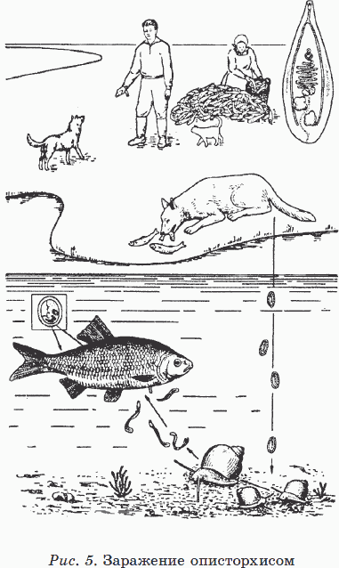 Новые тайны нераспознанных диагнозов. Книга 3 _14.png