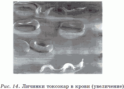 Новые тайны нераспознанных диагнозов. Книга 3 _23.png