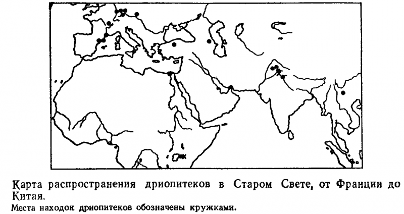 Адрес — Лемурия? image02.png