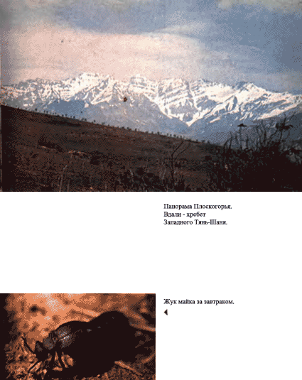 Луна над пустыней p0003.png