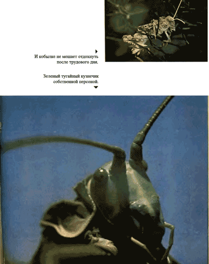 Луна над пустыней p0009.png