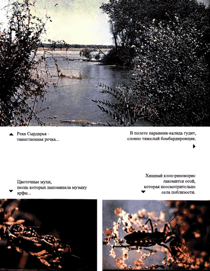 Луна над пустыней p0020.png