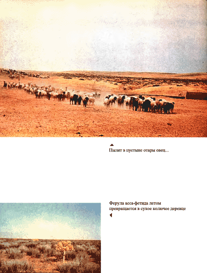 Луна над пустыней p0022.png