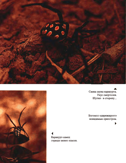 Луна над пустыней p0026.png
