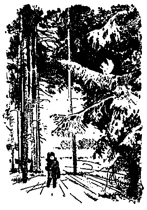 Приключения Травки (илл. И. Гринштейн) pic_35.png
