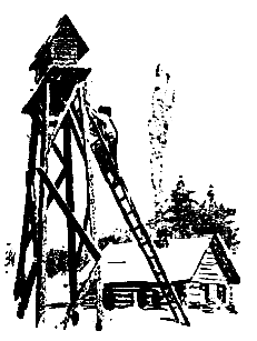 Приключения Травки (илл. И. Гринштейн) pic_37.png