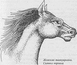 Преступники и преступления. Женщины-убийцы. Воровки. Налетчицы i_046.jpg