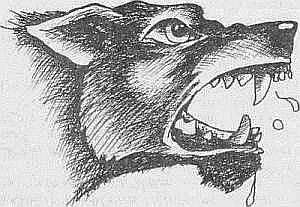 Преступники и преступления. Женщины-убийцы. Воровки. Налетчицы i_083.jpg