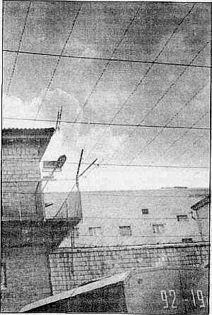 Преступники и преступления. Женщины-убийцы. Воровки. Налетчицы i_113.jpg
