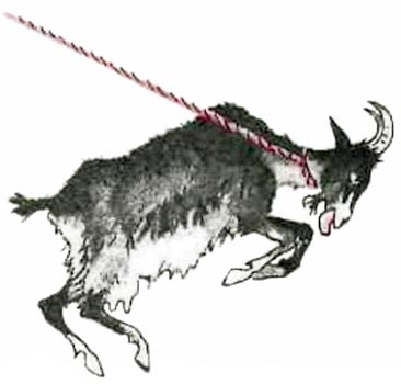 Ни далеко, ни близко, ни высоко, ни низко. Сказки славян. i_013.jpg
