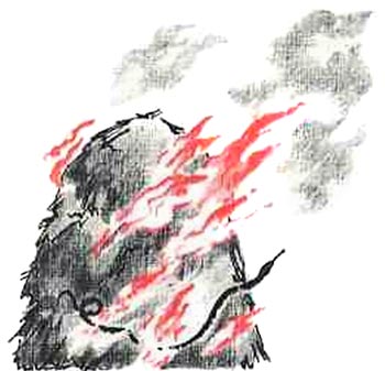 Ни далеко, ни близко, ни высоко, ни низко. Сказки славян. i_067.jpg