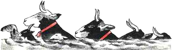 Ни далеко, ни близко, ни высоко, ни низко. Сказки славян. i_068.jpg